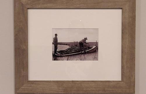 Great Spot near LSU and Mike the tiger - Foto 8