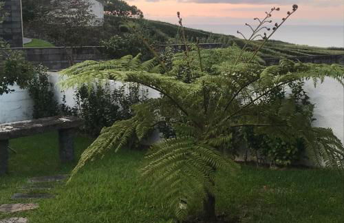 Charming green country house - Photo 22