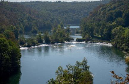 MREŽNICA - ZELENA BAJKa - Foto 7