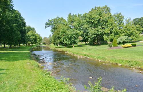 Apartments in the Heart of Canton - Foto 46