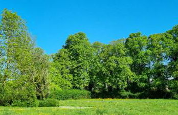 Domaine des Chanoines blancs - Foto 55