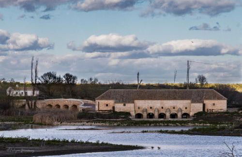 Casa Rural Entreolivos - Foto 34
