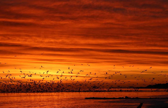 "Grep" - 800m from the sea - Foto 63