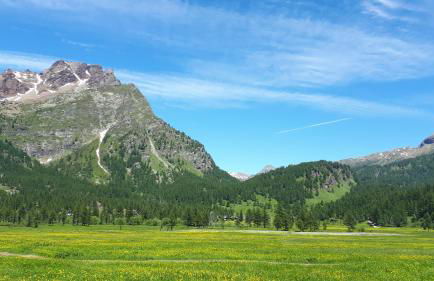 La Piana Appartamenti - Photo 12