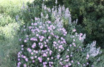 Azienda Agrituristica Le Puzelle - Photo 134