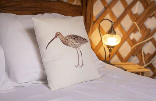curlew - Foto 6