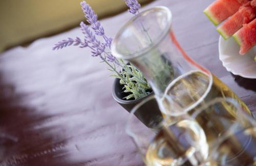 Holiday house Toš-Vila with heated pool - Foto 50