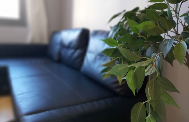 Del Parque Flats Central - Photo 27