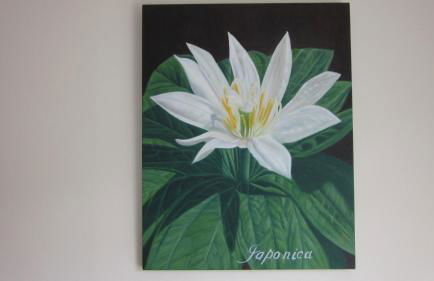 The Paddocks Cottages - Foto 28