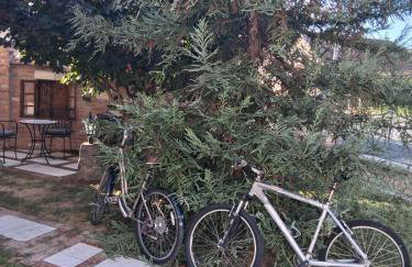 Studio Apartman Lora - Foto 17