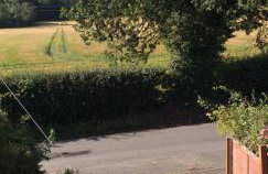 Crow Corner - Foto 19