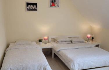 Villa Grunwald - Foto 16