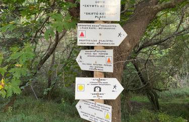 Το Aρχοντικό των Τσιντζίνων - Foto 25