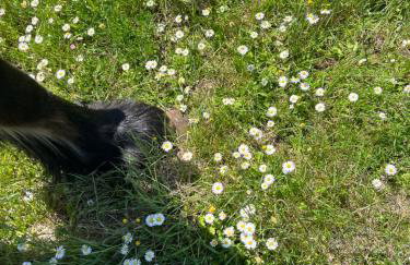 The Farmhouse - Photo 54