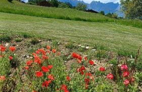 Gîte Les Aravis - Foto 11