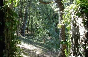 Casa do Alto (top floor apartment) - Foto 38