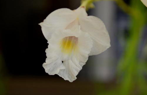 Residencial Portinari LTDA - Foto 64