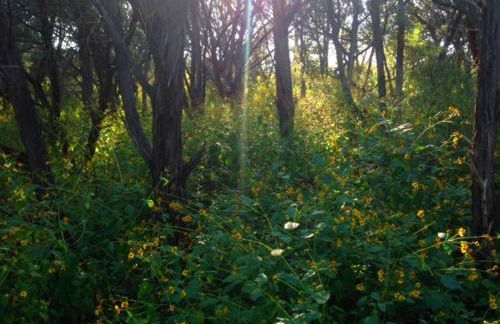 The Firehouse at Creekside Camp & Cabins - Foto 19