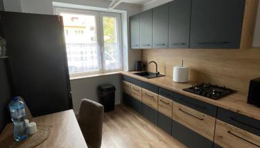 Apartament Centrum II - Foto 2, stove, pet friendly, minibar