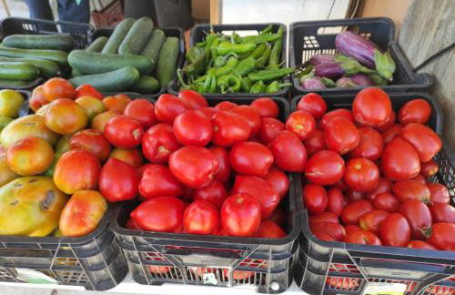 Stunning unobstructed 180 degree sea view apartment with 100 square meters terrace - Costa del Sol - Estepona- Long Term - Photo 35