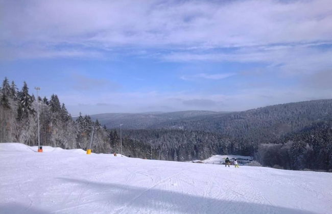 Apartment in Schnett Near the ski Area - Foto 35