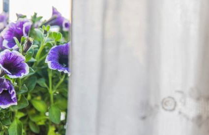 La Casa del Maestro de Música - Foto 13