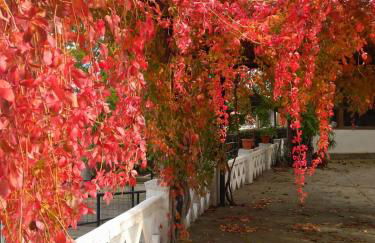 Casa Rural del Corral - Foto 46