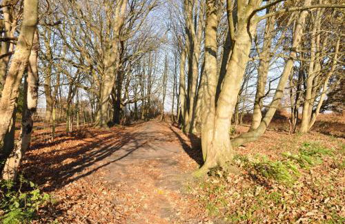 Mill Barn by inspirestays-com - Foto 40