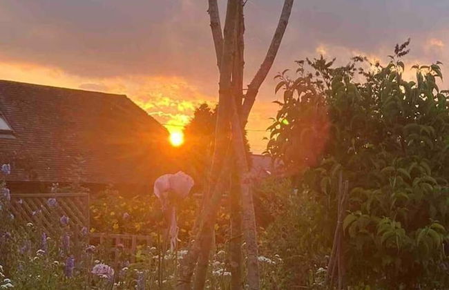 Cosy Rural Retreat, Sleeps 3 & Petfriendly - Foto 24