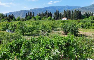 Platanidia Apartment Pelion - Foto 28