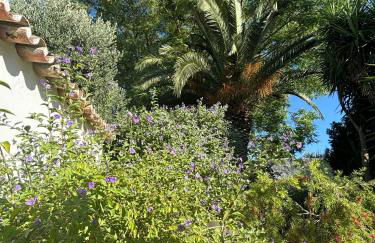 Alentejo Living - Foto 65