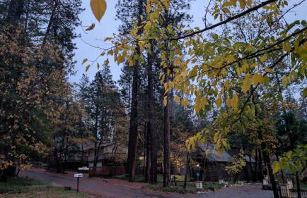 Sierra Cabin w NEW Hot Tub Walk to Town - Photo 14