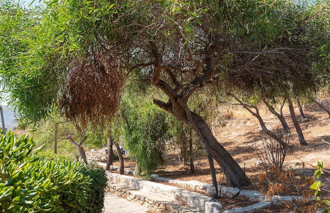 Elena's Traditional DreamHouse - Foto 39