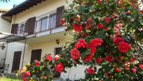 Appartamento Ibisco - Photo 4