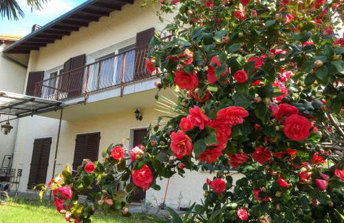 Appartamento Ibisco - Photo 4