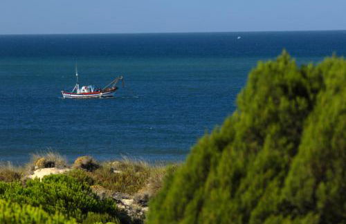 Leo Punta Umbria - Foto 74