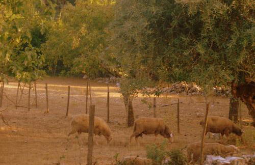 Otium Country House - Foto 152