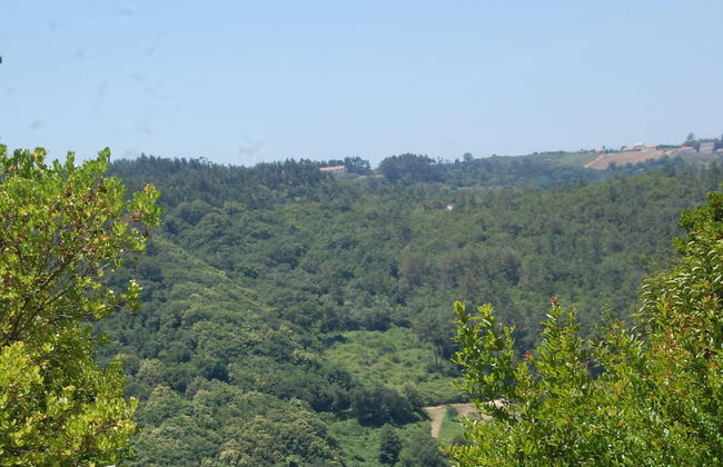 Family Villa With Pool and Barbecue - Foto 37