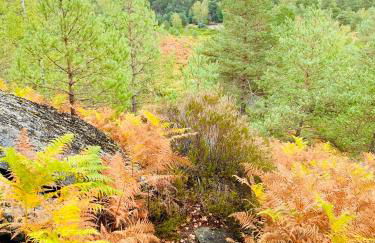 Le Royal Deluxe Fontainebleau Centre #Chateau #Insead - Foto 43