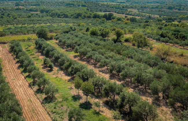 House Manda Adriatic - Foto 22