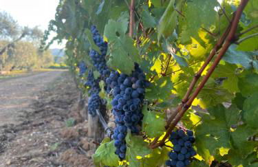 Mia Margot Suite Apartment - Foto 24