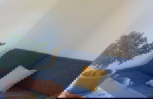 Residence Marina di Carlino Tourist - Foto 13