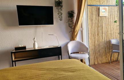 Studio avec terrasse privative - Photo 16