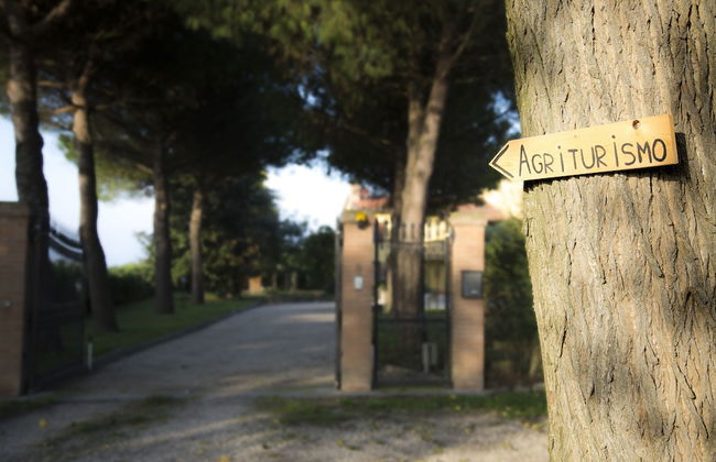 Agriturismo Ae Cavane - Photo 52