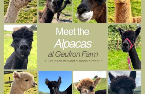 Granary Retreat for 2 inc shared Dog Field - Foto 9