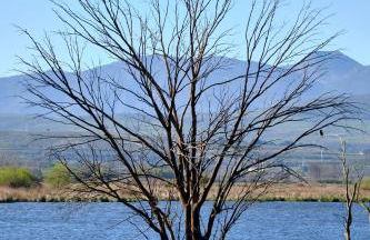 Finca Bellas Vistas - Foto 61