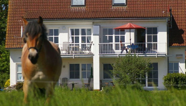 Cosy Apartment in Garz - Foto 2, Imagen principal