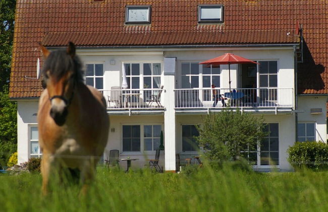 Cosy Apartment in Garz - Foto 1