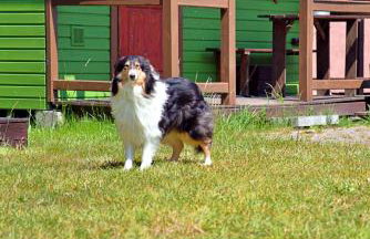 Osrodek Nadmorski Osieki - Foto 34