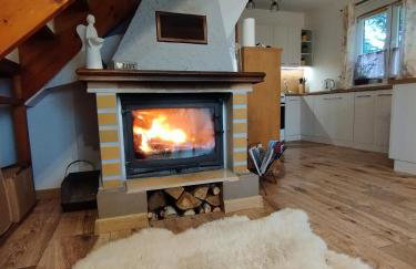 Garden House nad jeziorem Szelment - Foto 26